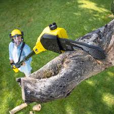 Best Pest Control for Lawns  in Baldn, WI