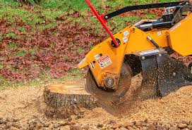Best Tree Risk Assessment  in Baldn, WI